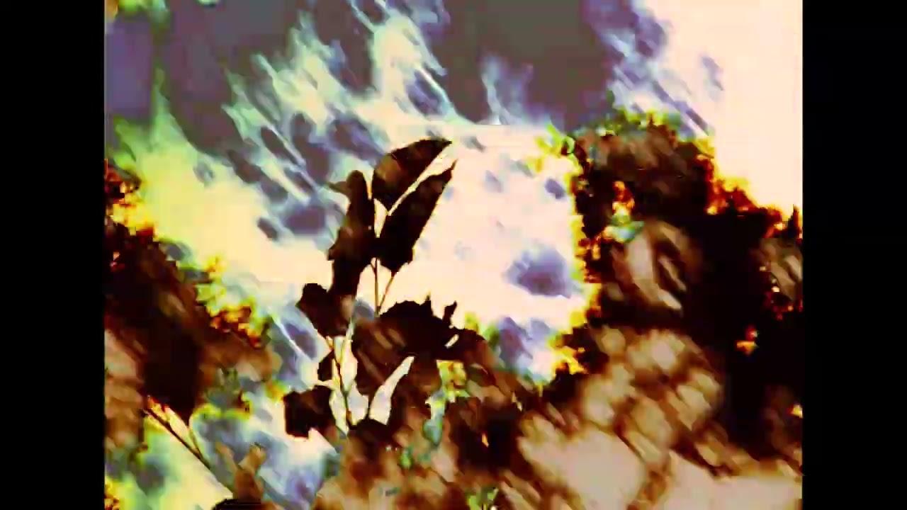 MY PHANTOM LIMB Trailer