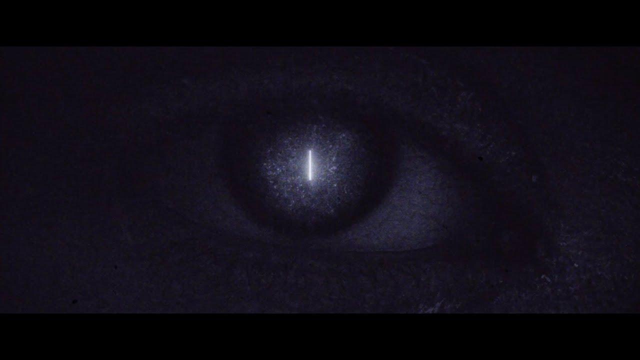 Polia & Blastema Trailer