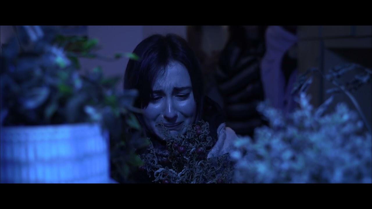 No Plant B Trailer
