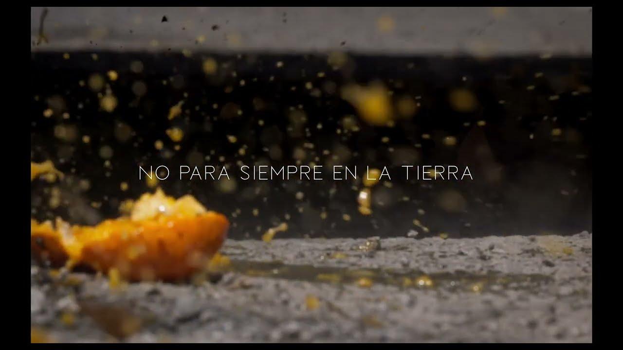 Not Forever on Earth Trailer
