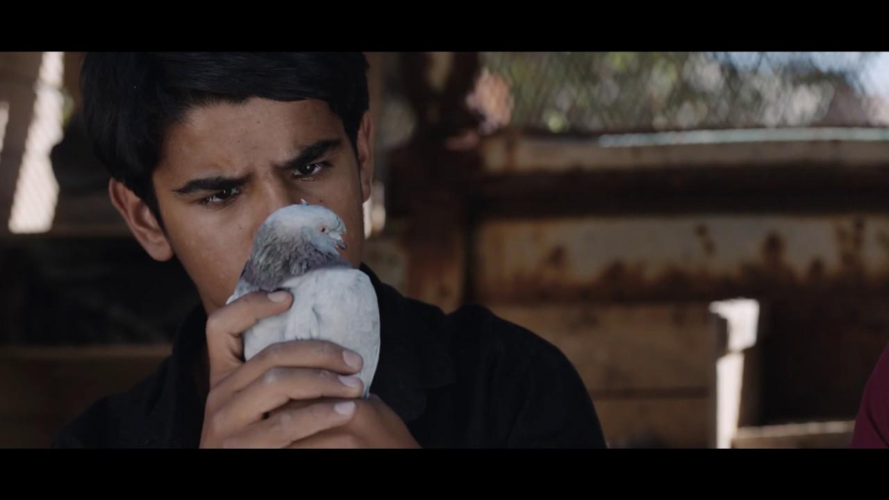 The Pigeon Thieves Trailer