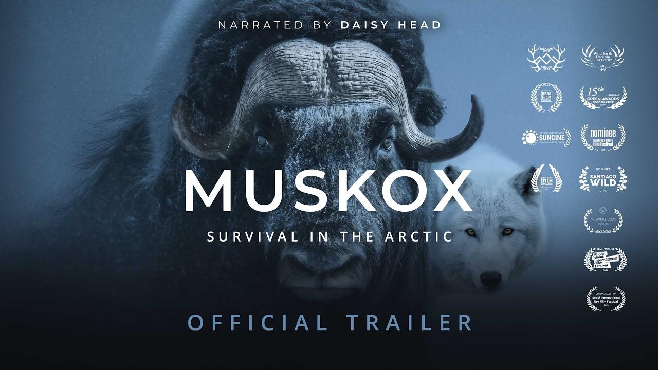 Muskox Trailer