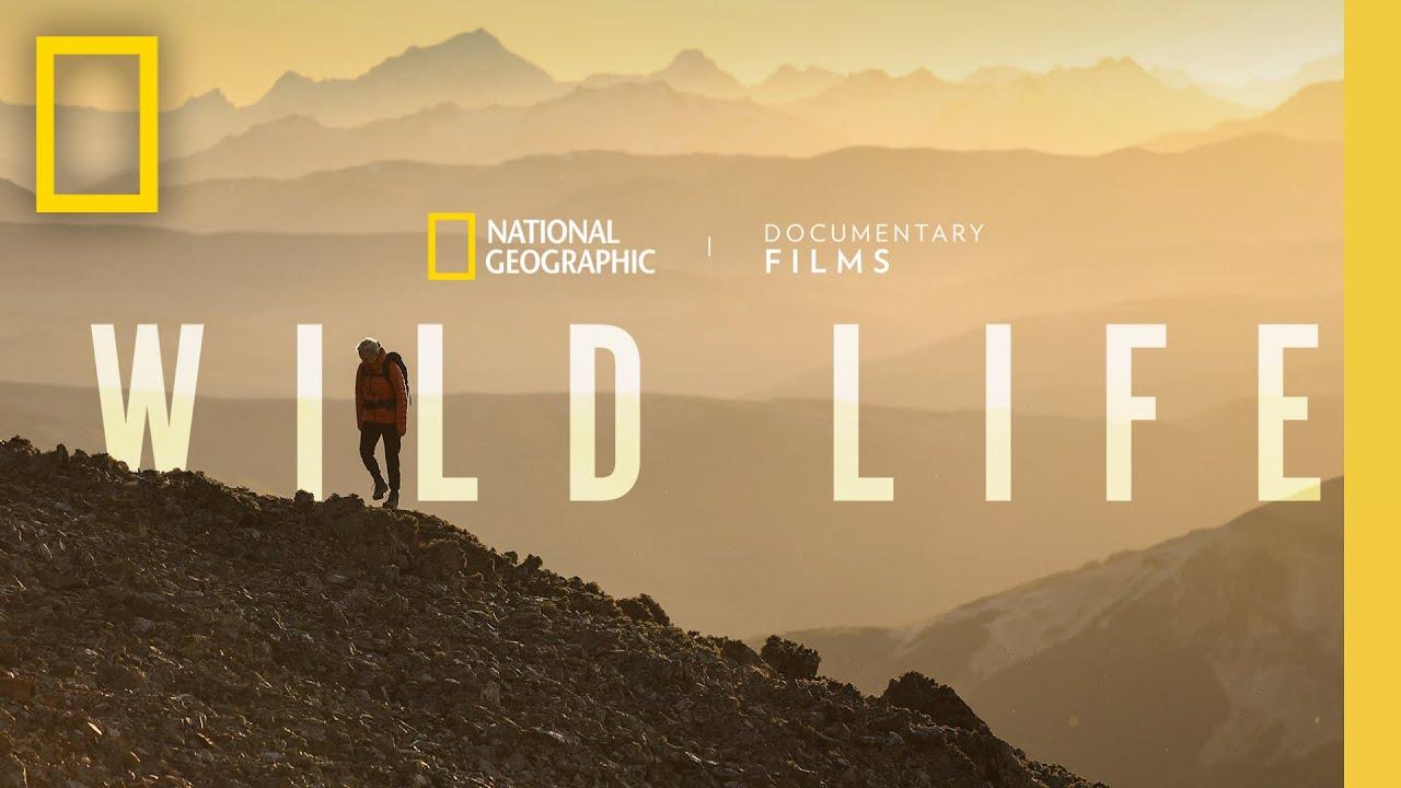 Wild Life Trailer
