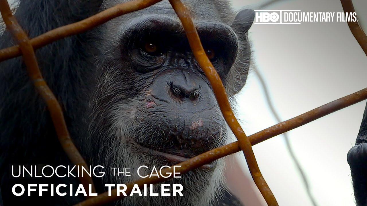 Unlocking the Cage Trailer