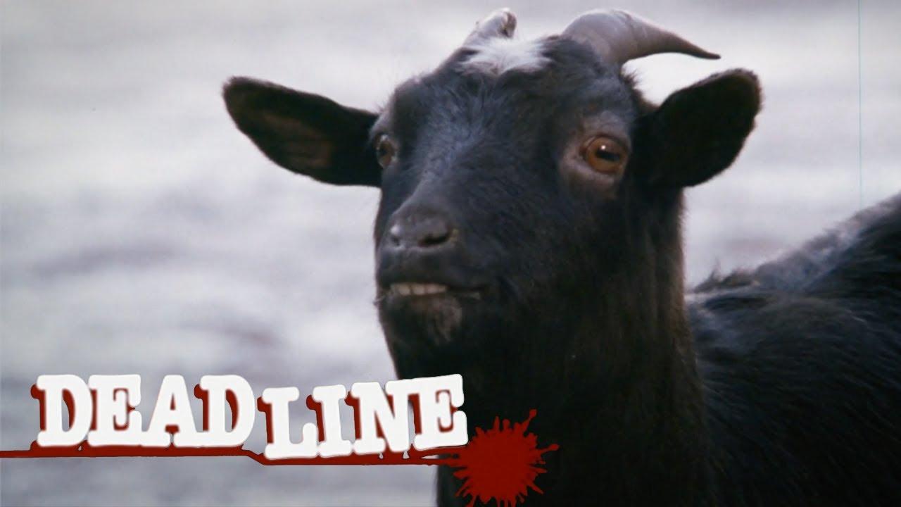 Deadline Trailer