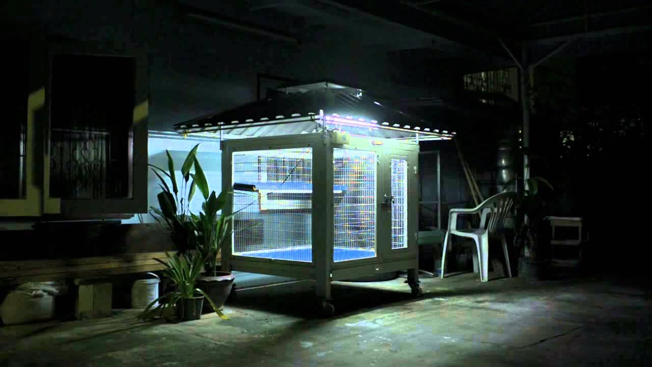 Boonrerm Trailer