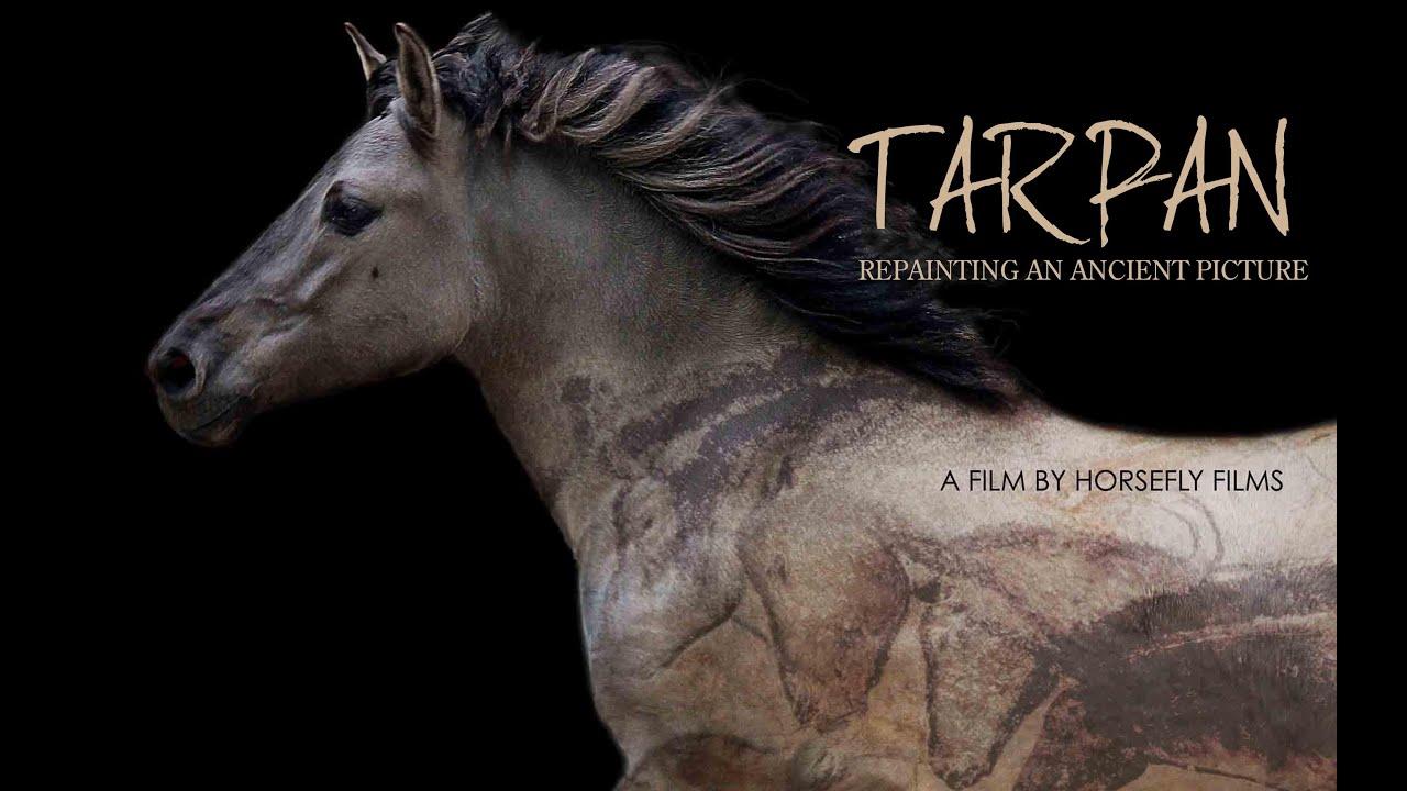 Tarpan: Repainting an Ancient Picture Trailer