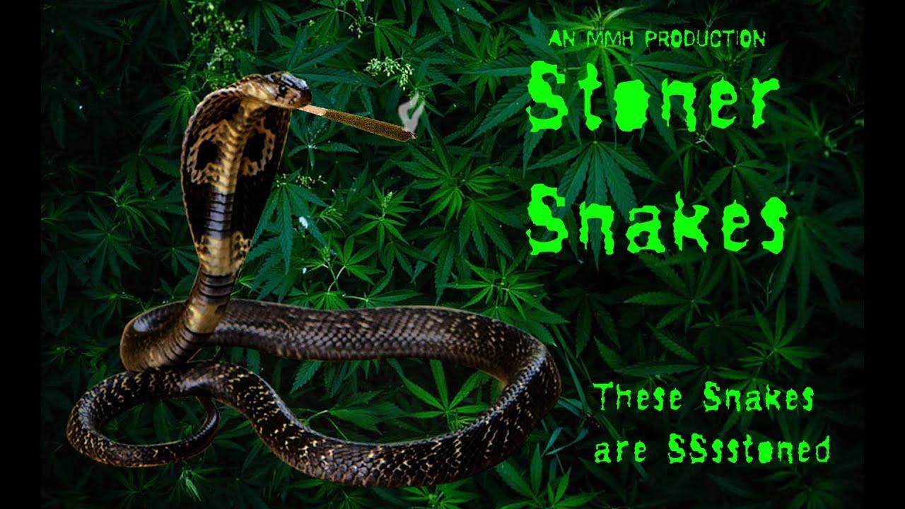 Stoner Snakes Trailer