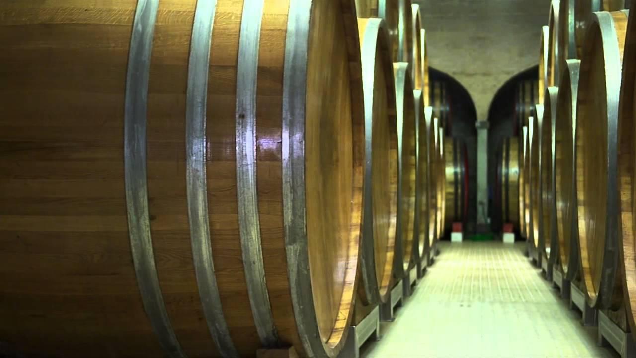 Somm Trailer