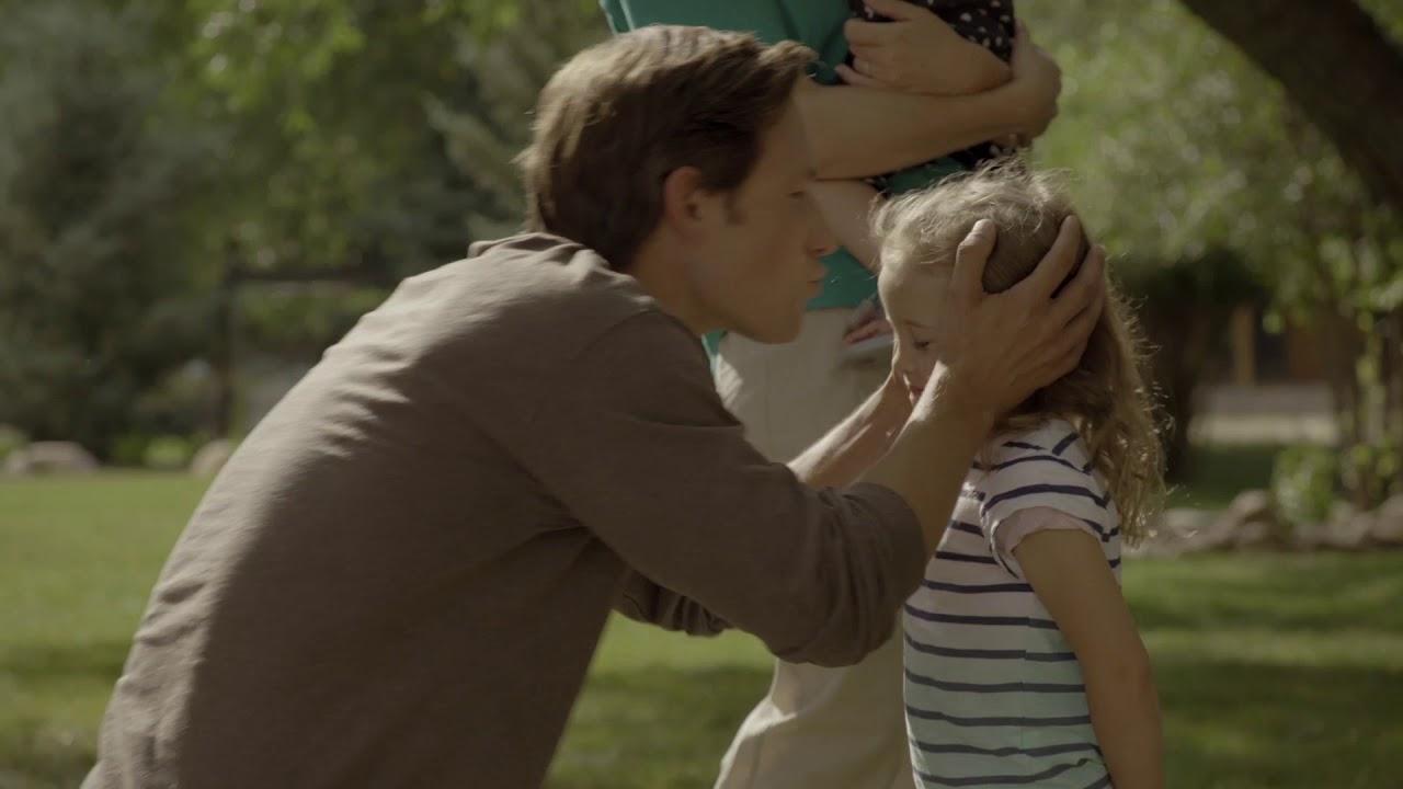 The Stray Trailer