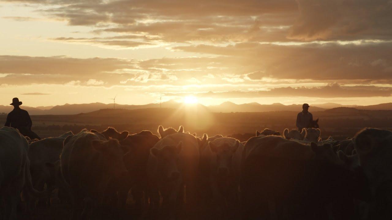 Just a Farmer Trailer