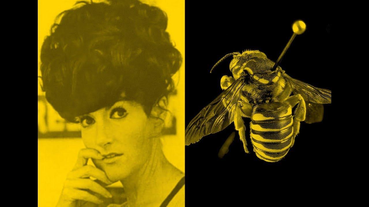 The Beehive Trailer
