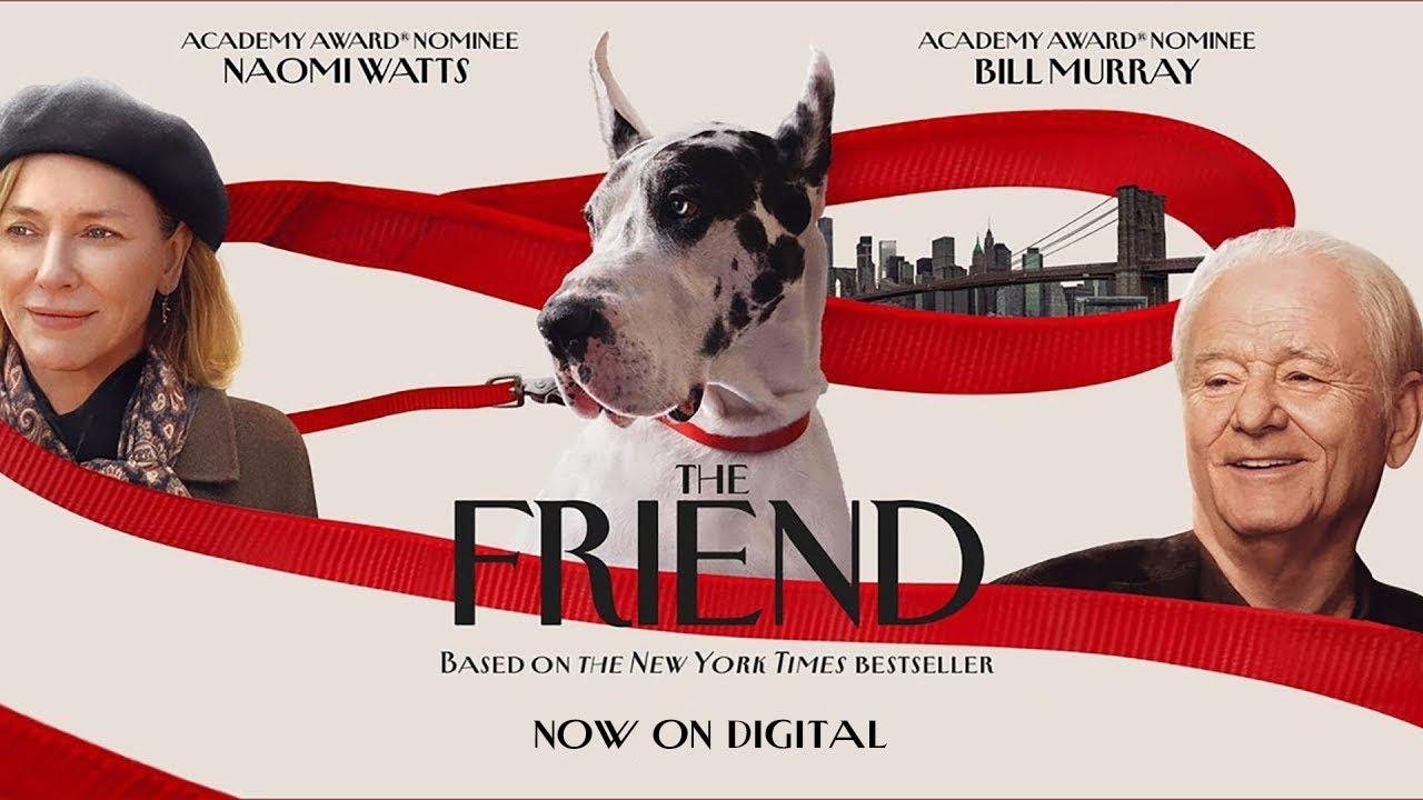 The Friend Trailer