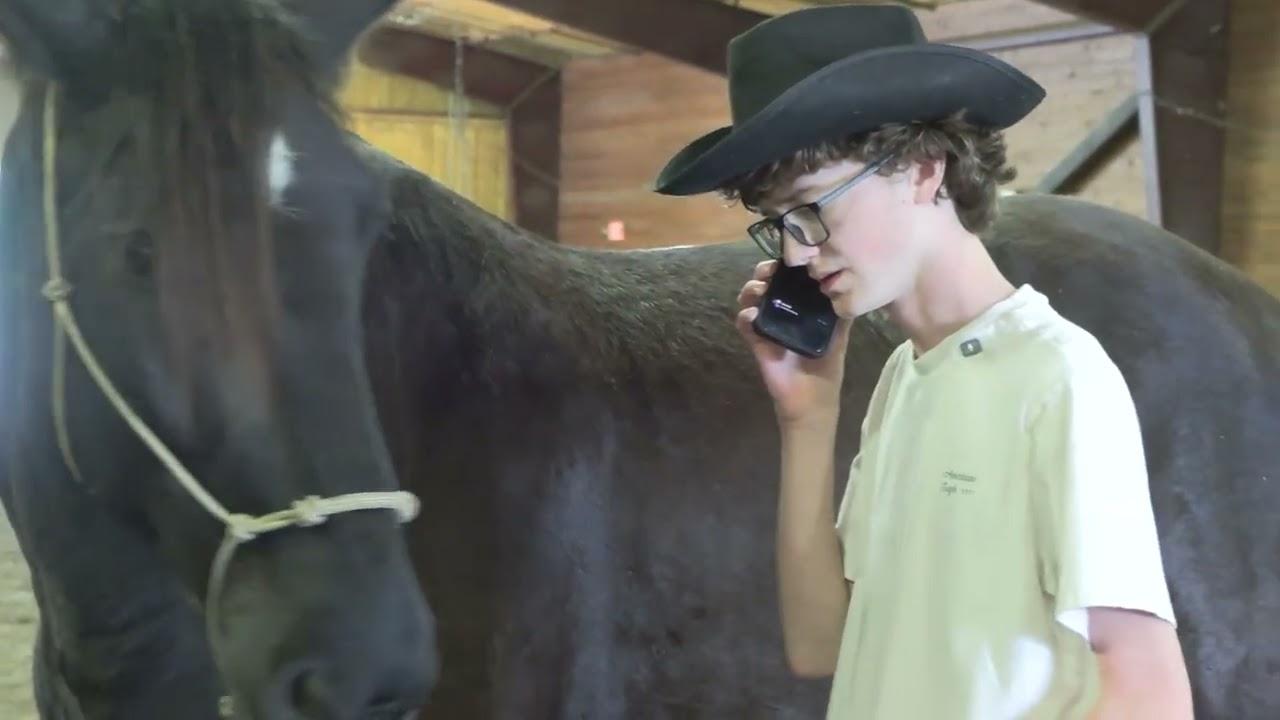 A Bone to Pick Trailer