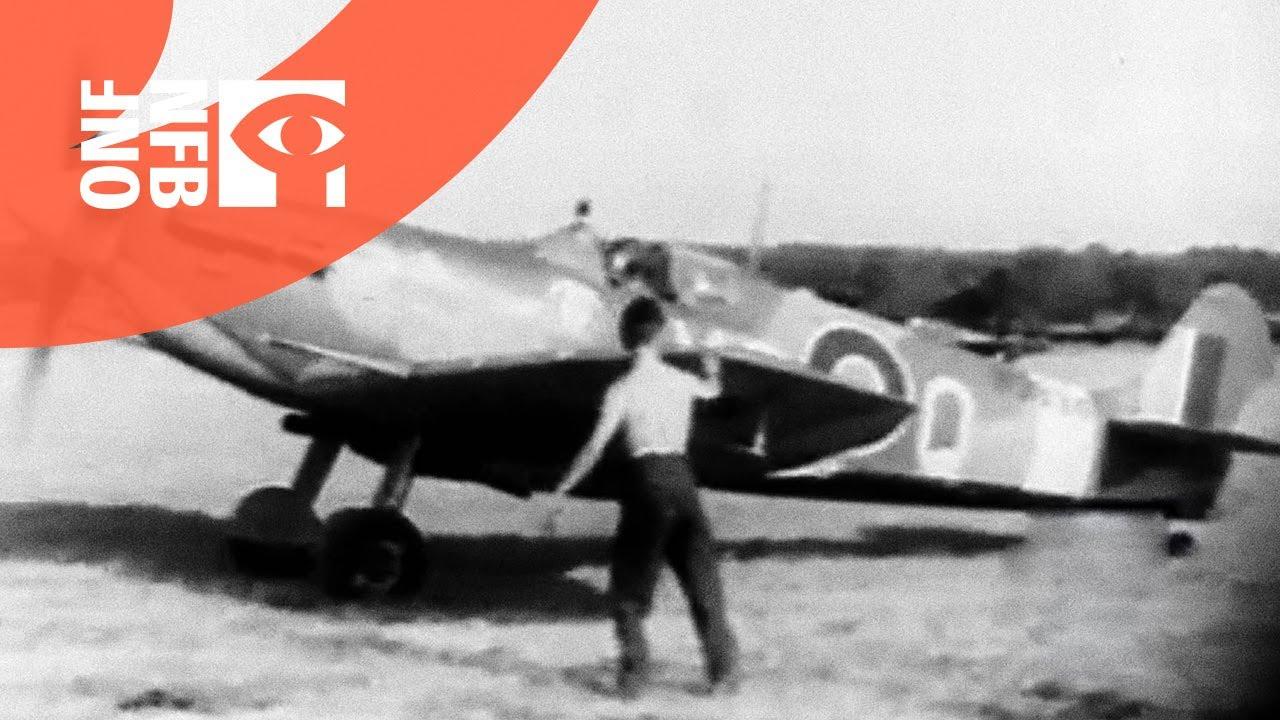 Wasp Wings Trailer