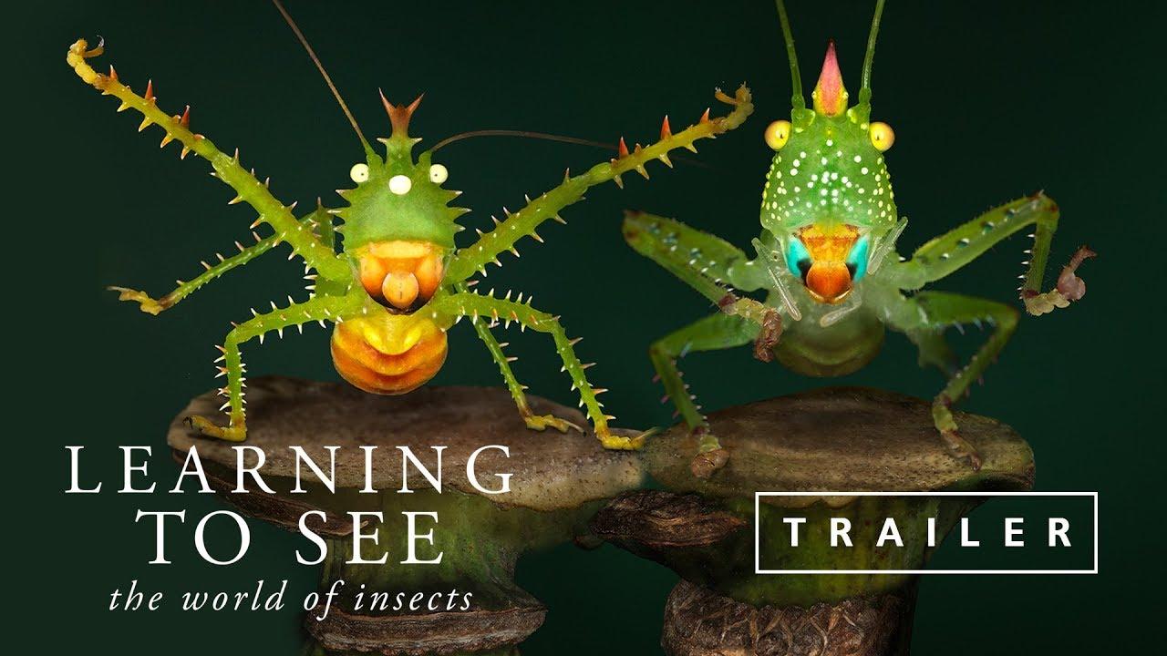 Learning To See Trailer