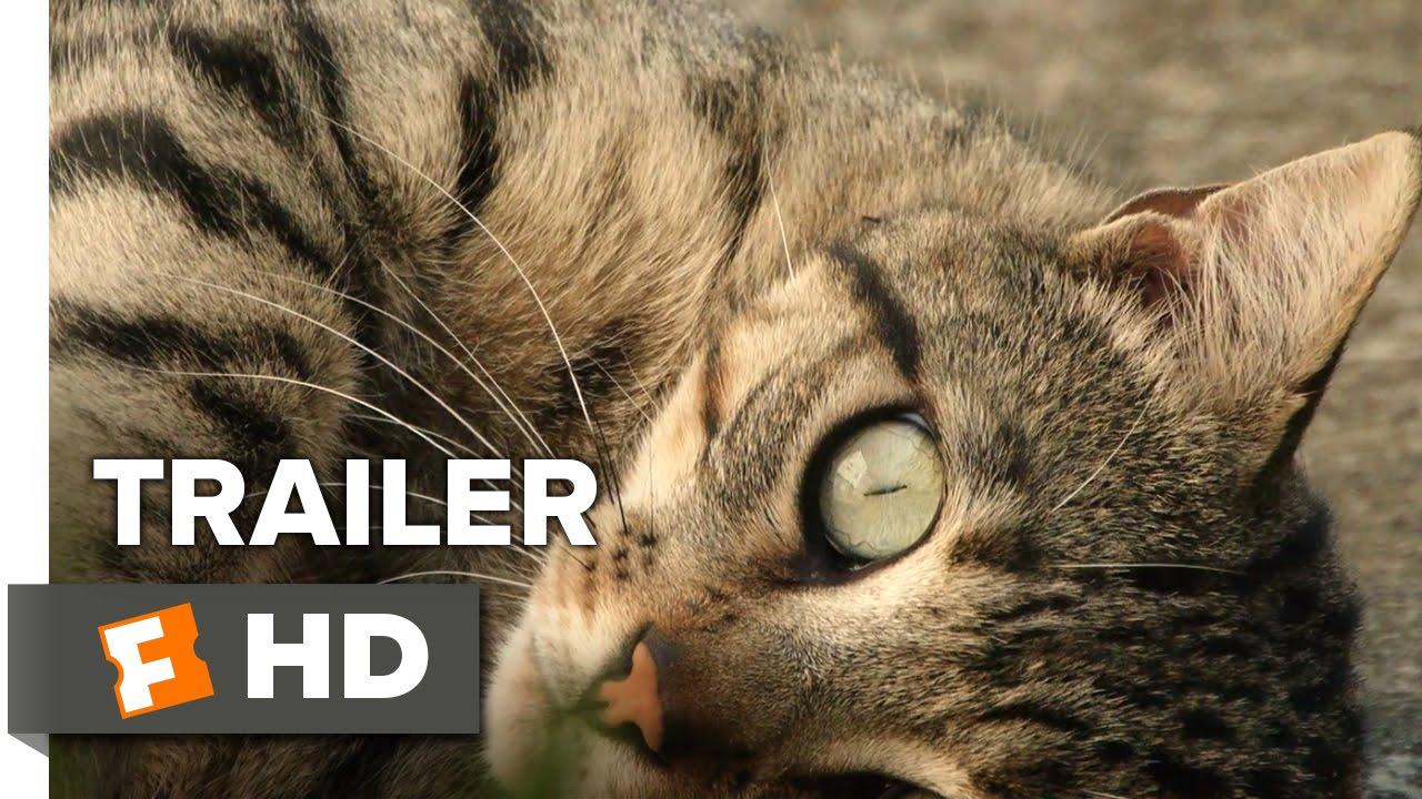 Counting Trailer