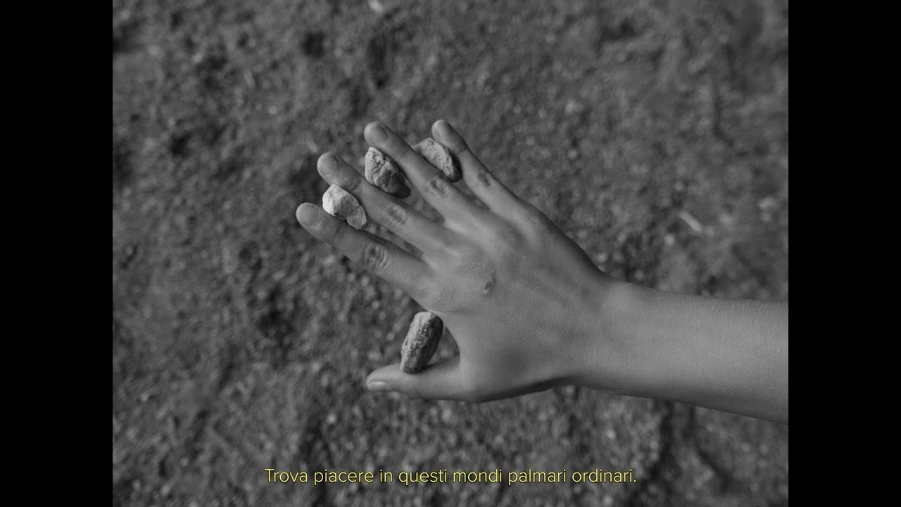 Collect Rocks Trailer