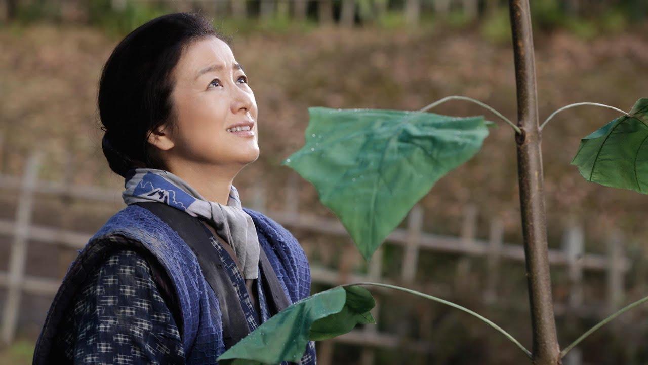 Mother's Trees Trailer
