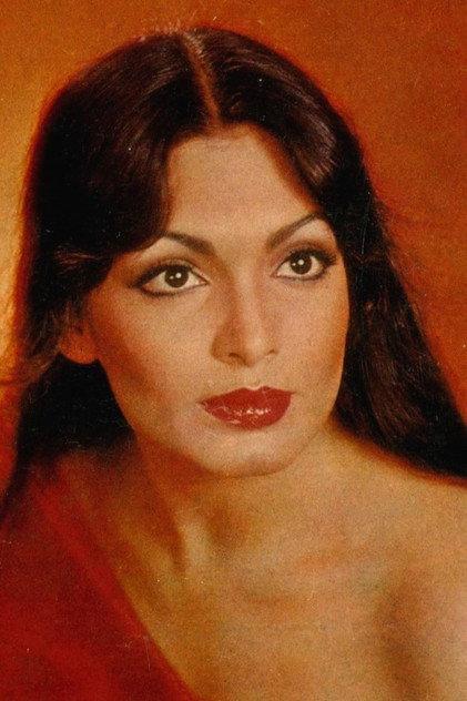 Parveen Babi - Actor Profile Photo