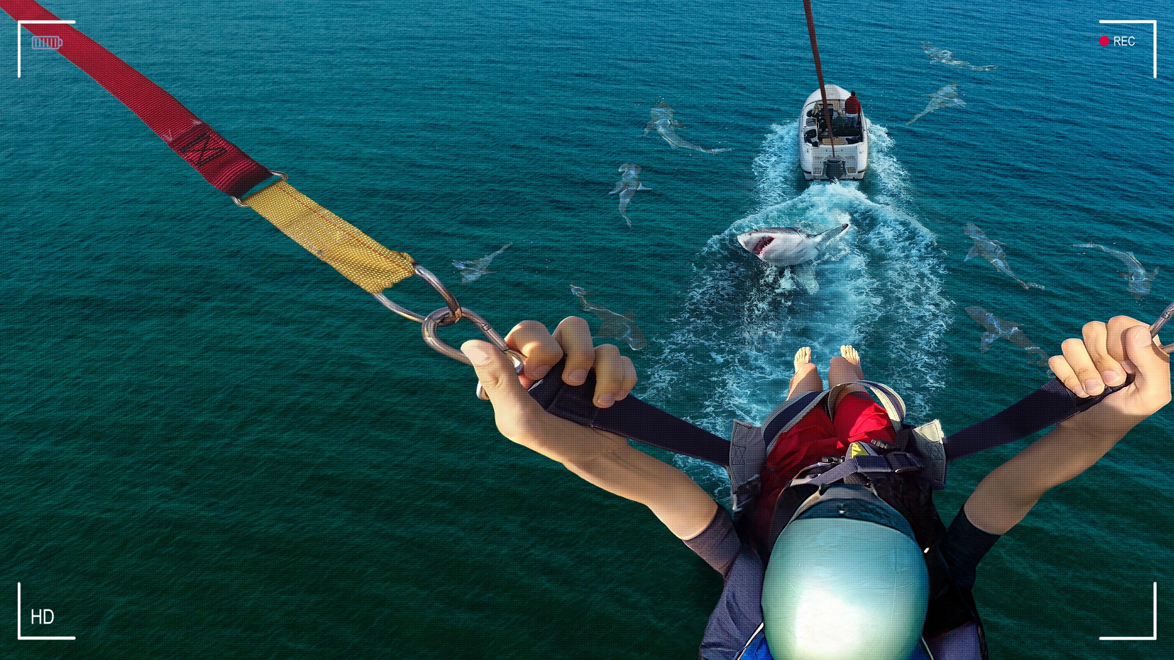 Caught! Sharks Strike Back 2025 movie scene