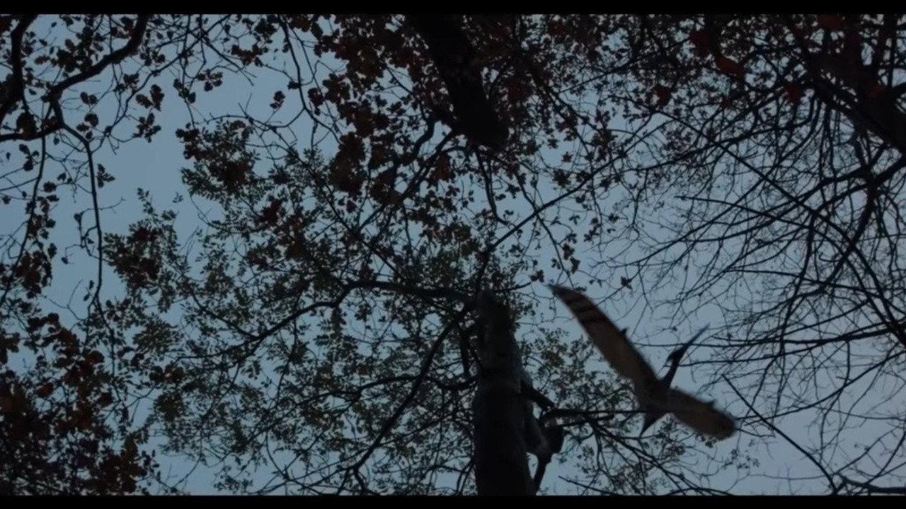 Dinosaur Hunt 2026 movie scene