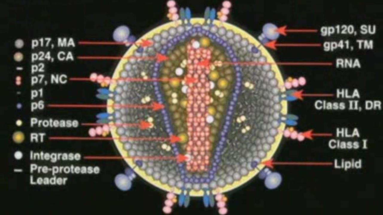 Deconstructing the Myth of Aids 2003 movie scene