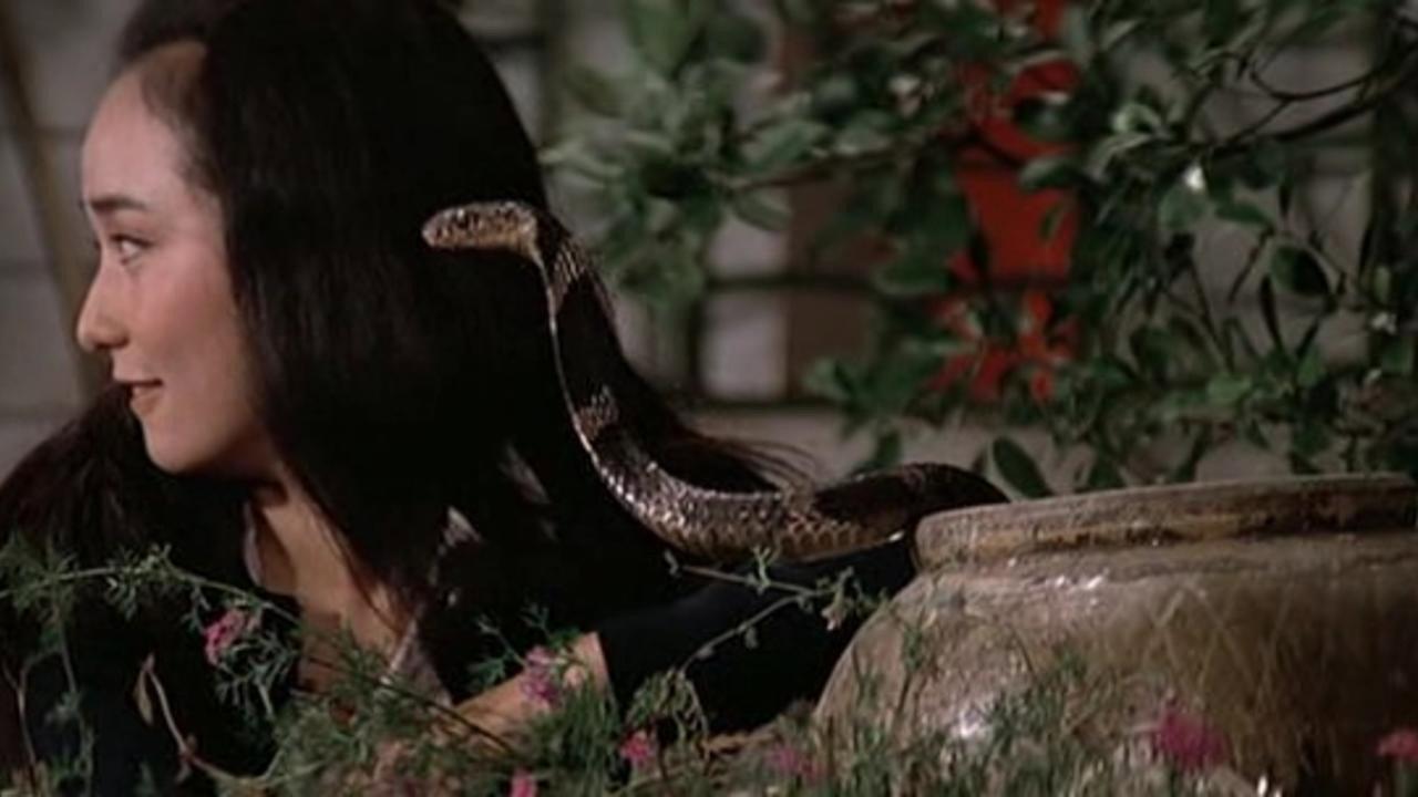 Fangs of the Cobra 1977 movie scene