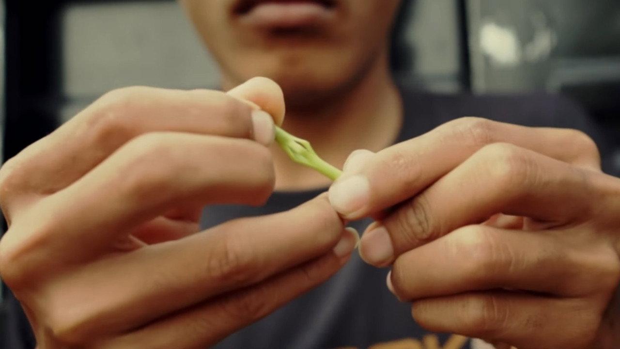 Losong : Awal Mula Serunai 2025 movie scene