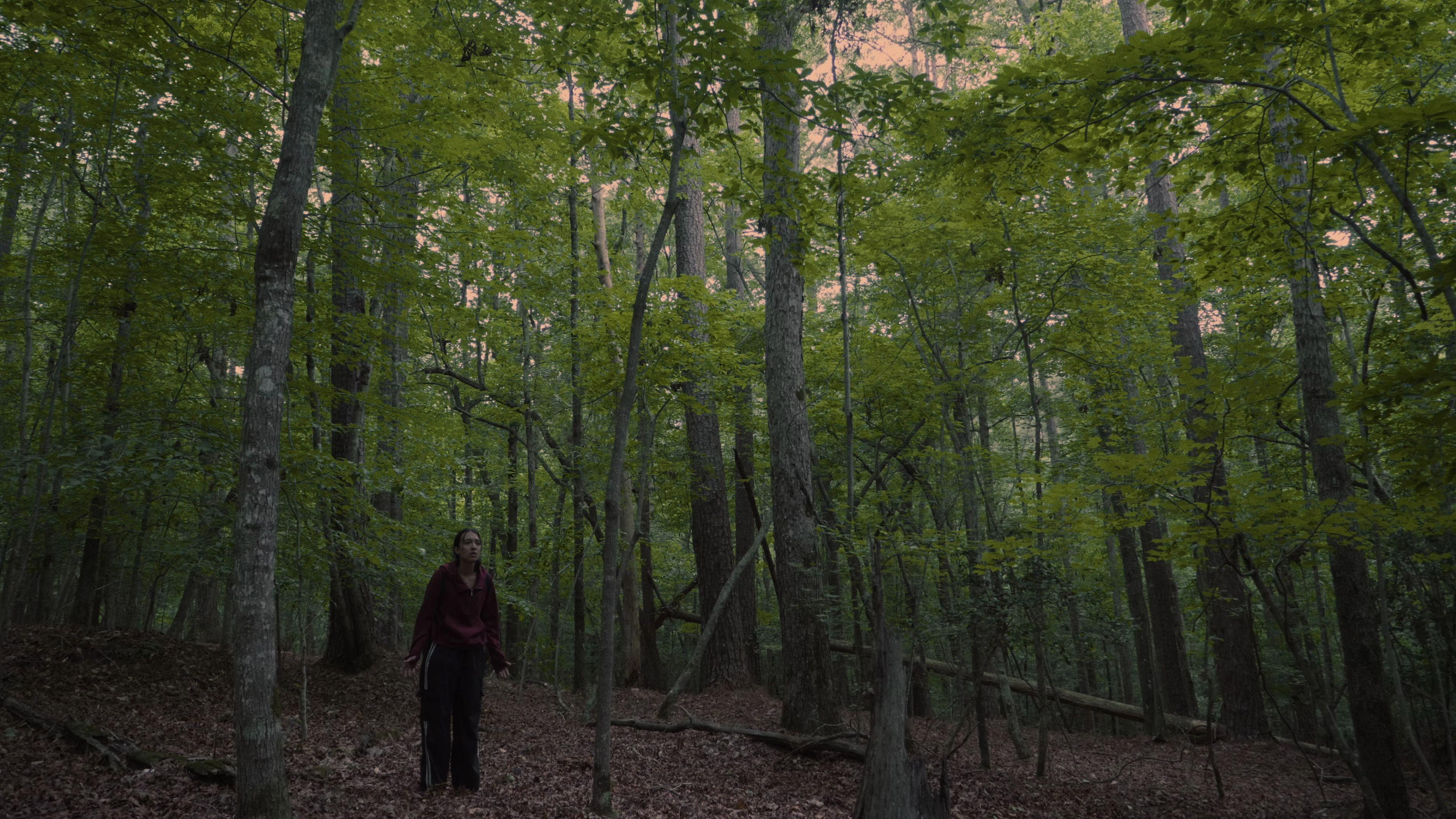 Echoes of the Absent 2025 movie scene