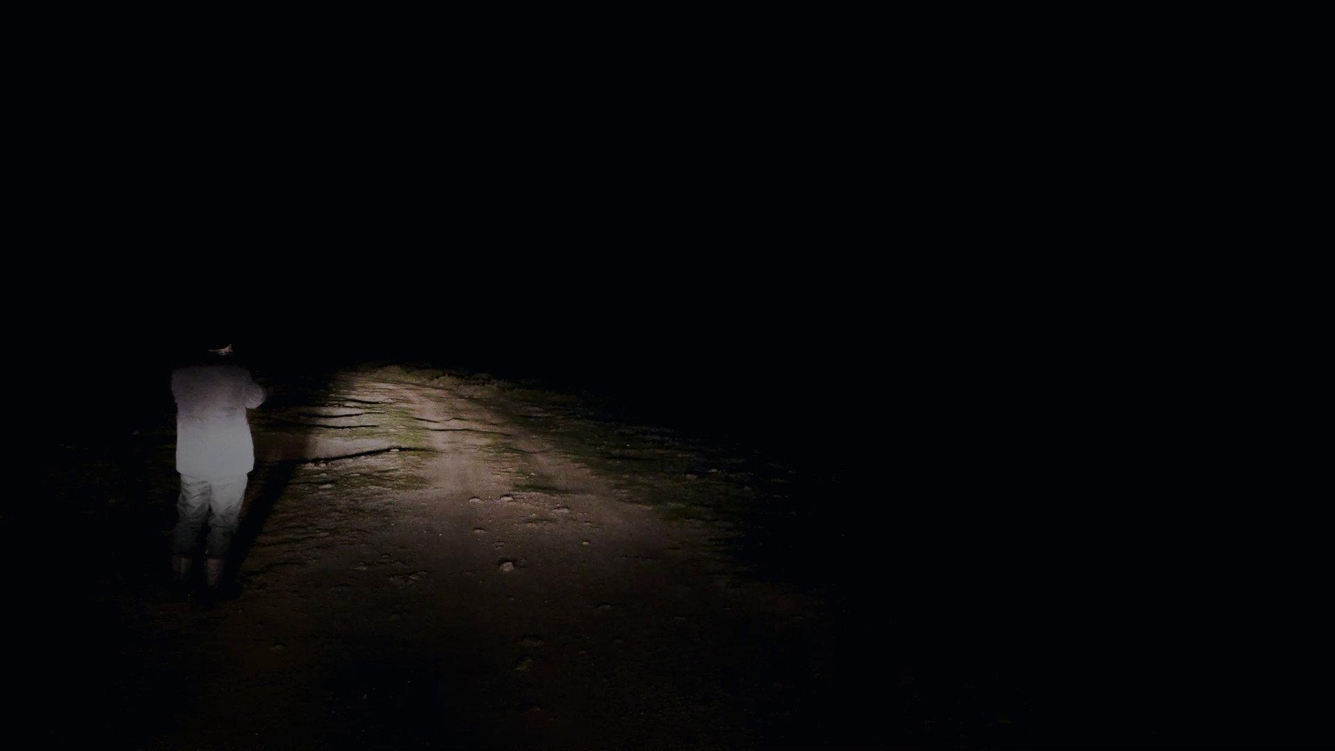 Fojos 2020 movie scene