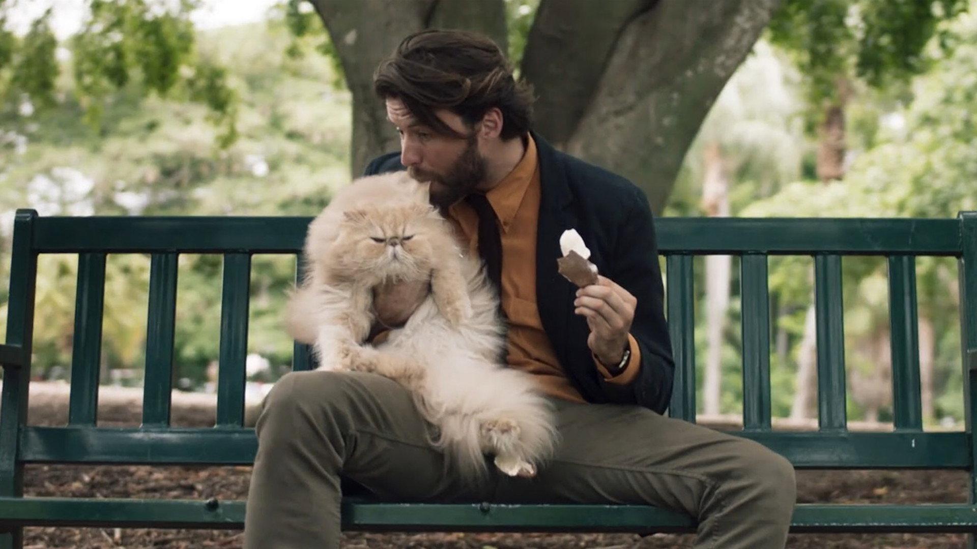 A Man and a Cat 2020 movie scene