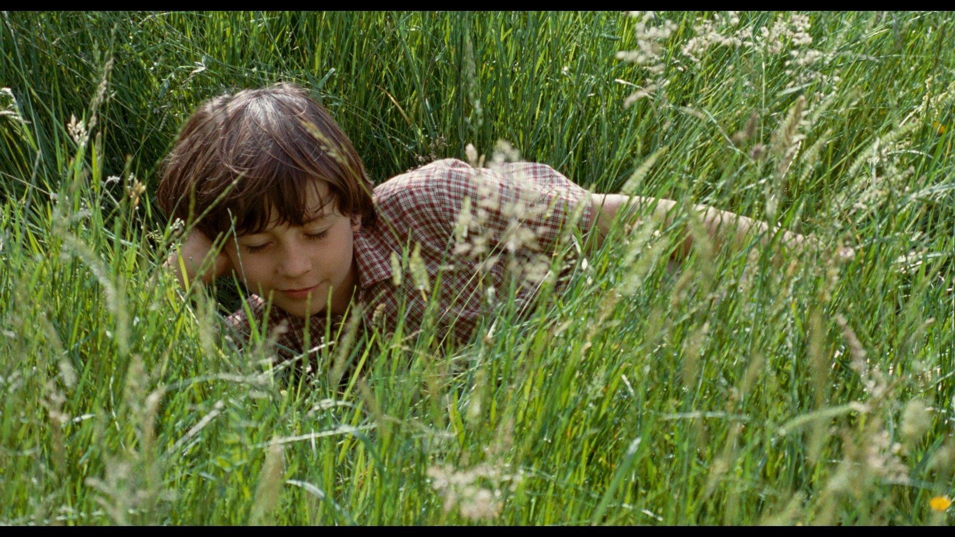 The Field of Enchantment 2011 movie scene