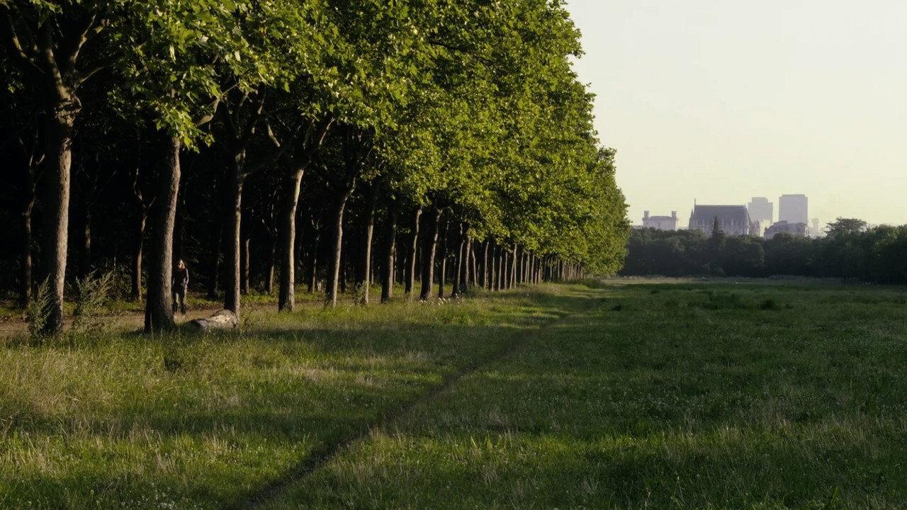 The Woods Dreams Are Made of 2016 movie scene