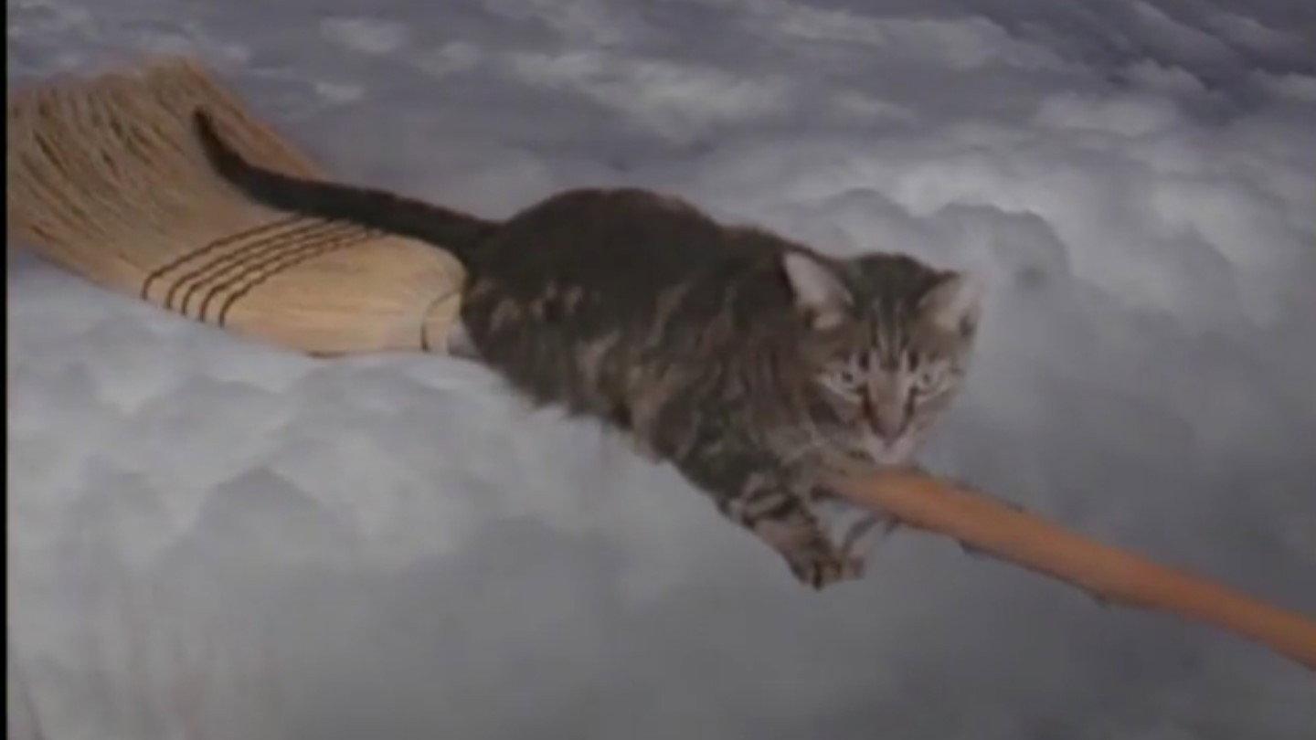 Catastrophy 2000 movie scene