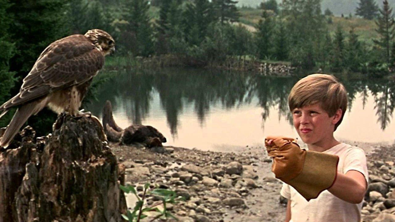 My Side of the Mountain 1969 movie scene
