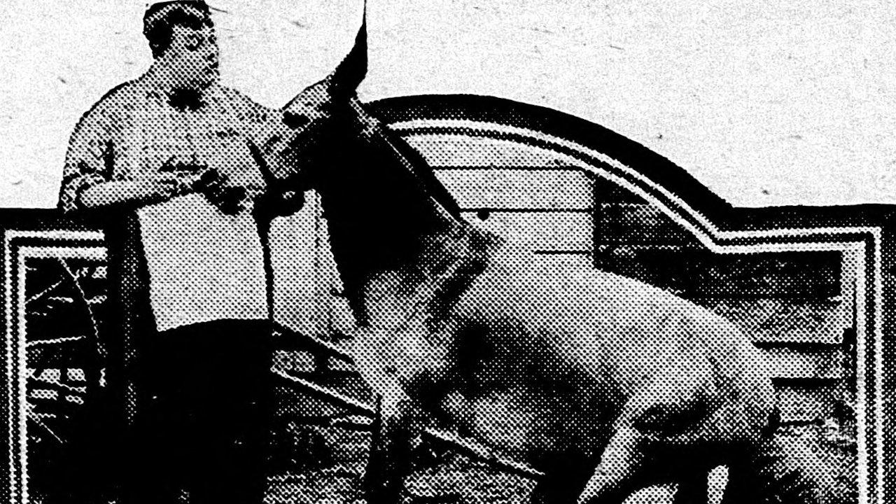 His Wedding Night 1917 movie scene
