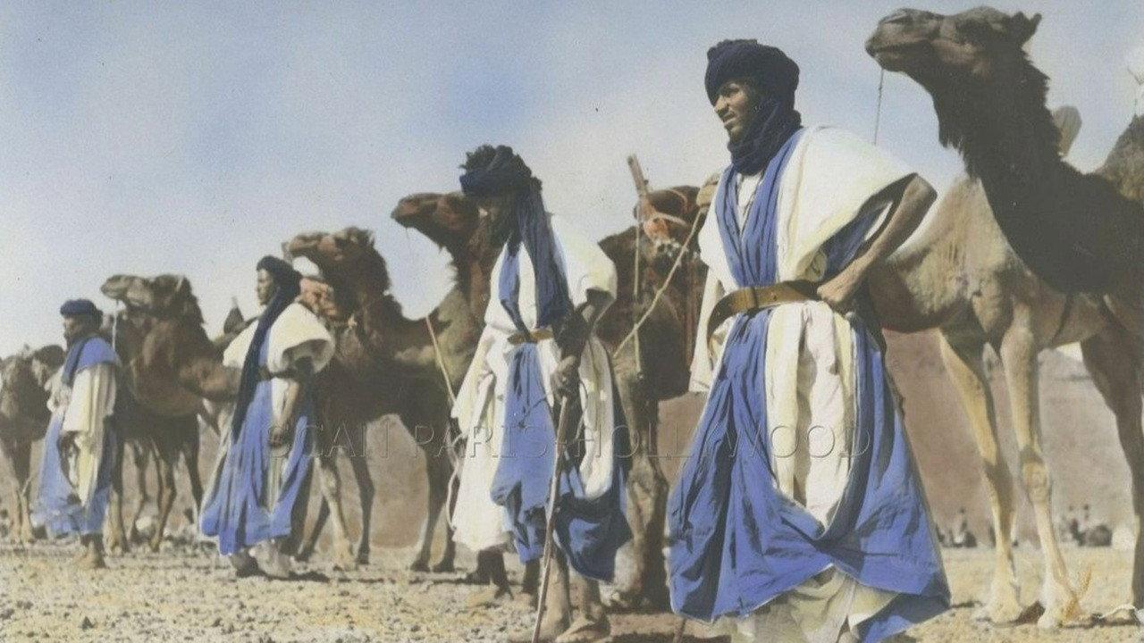 Alarm in Morocco 1953 movie scene