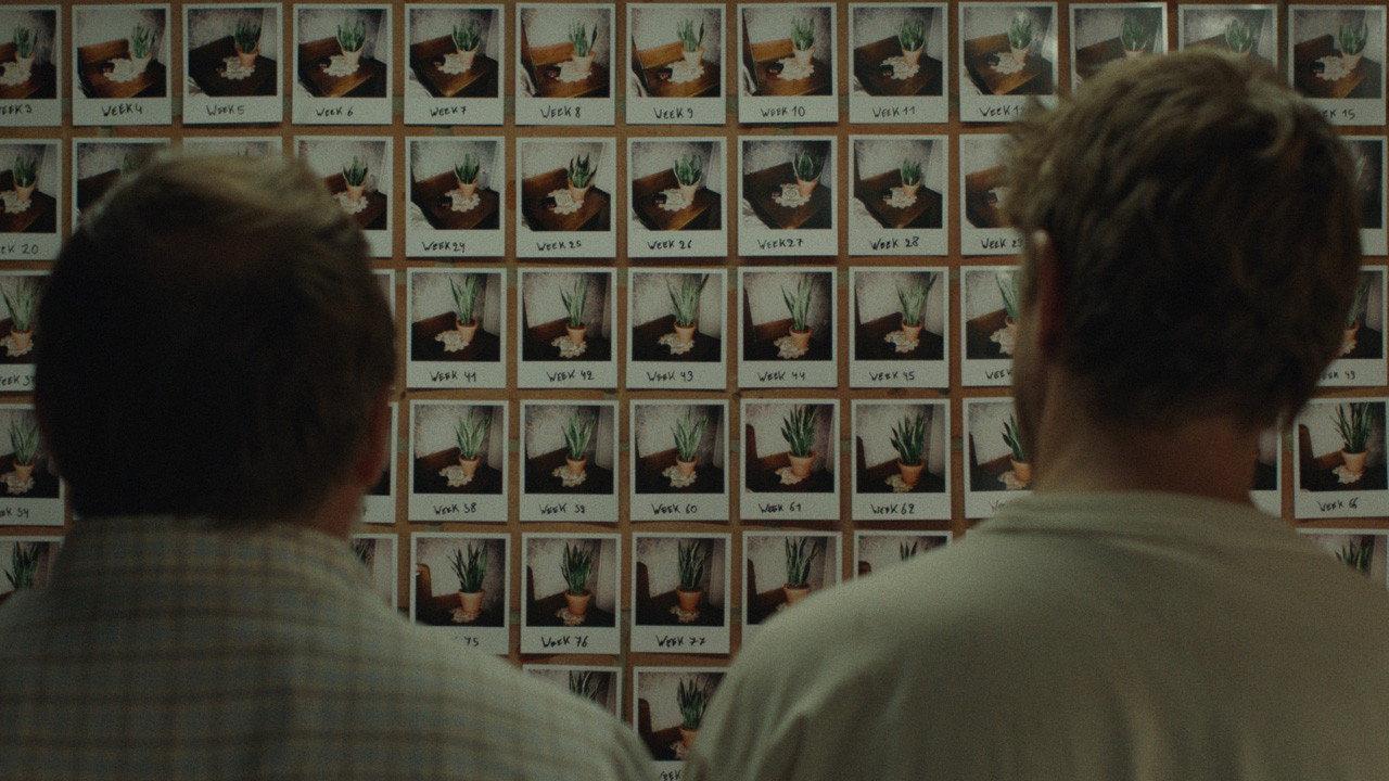 Week 97 2023 movie scene