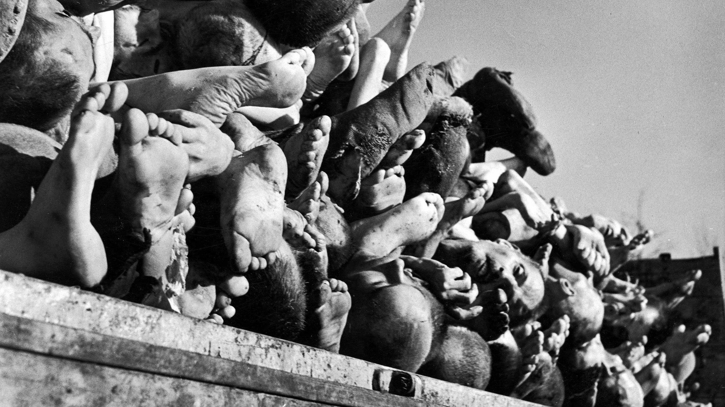 Histories of the Holocaust:Buchenwald 2010 movie scene