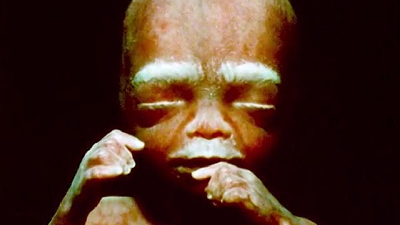 The Beginning of Life 1968 movie scene