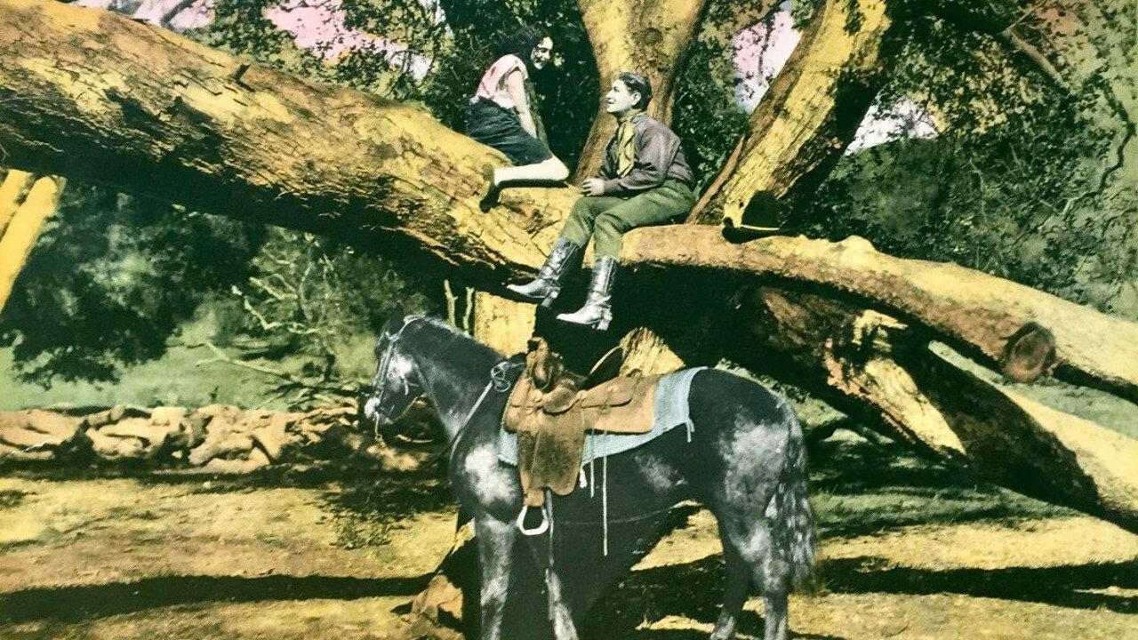 The Wild Girl 1925 movie scene