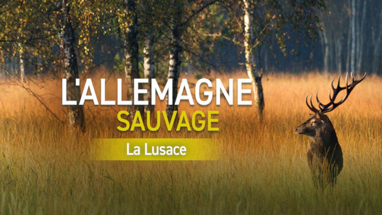 Wild Germany: Exploring Lusatia 2013 movie scene