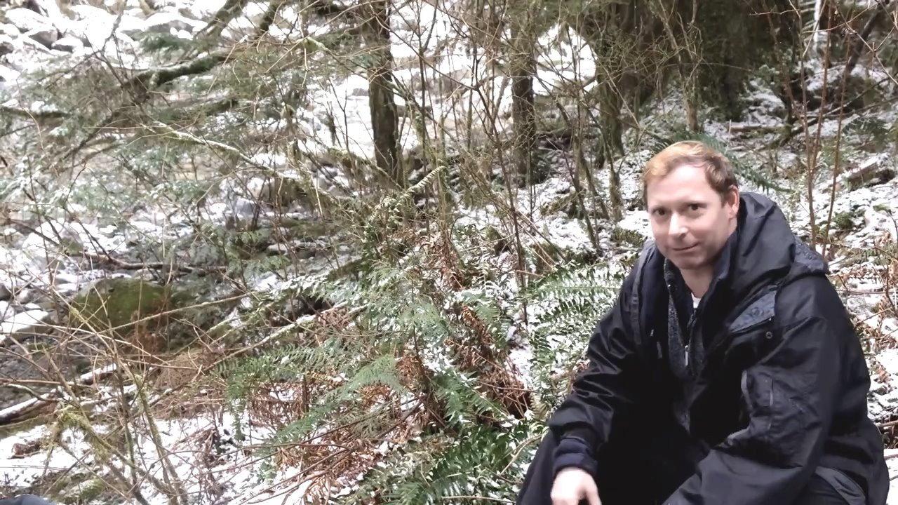 Searching for Sasquatch Chapter II The Watchers 2021 movie scene