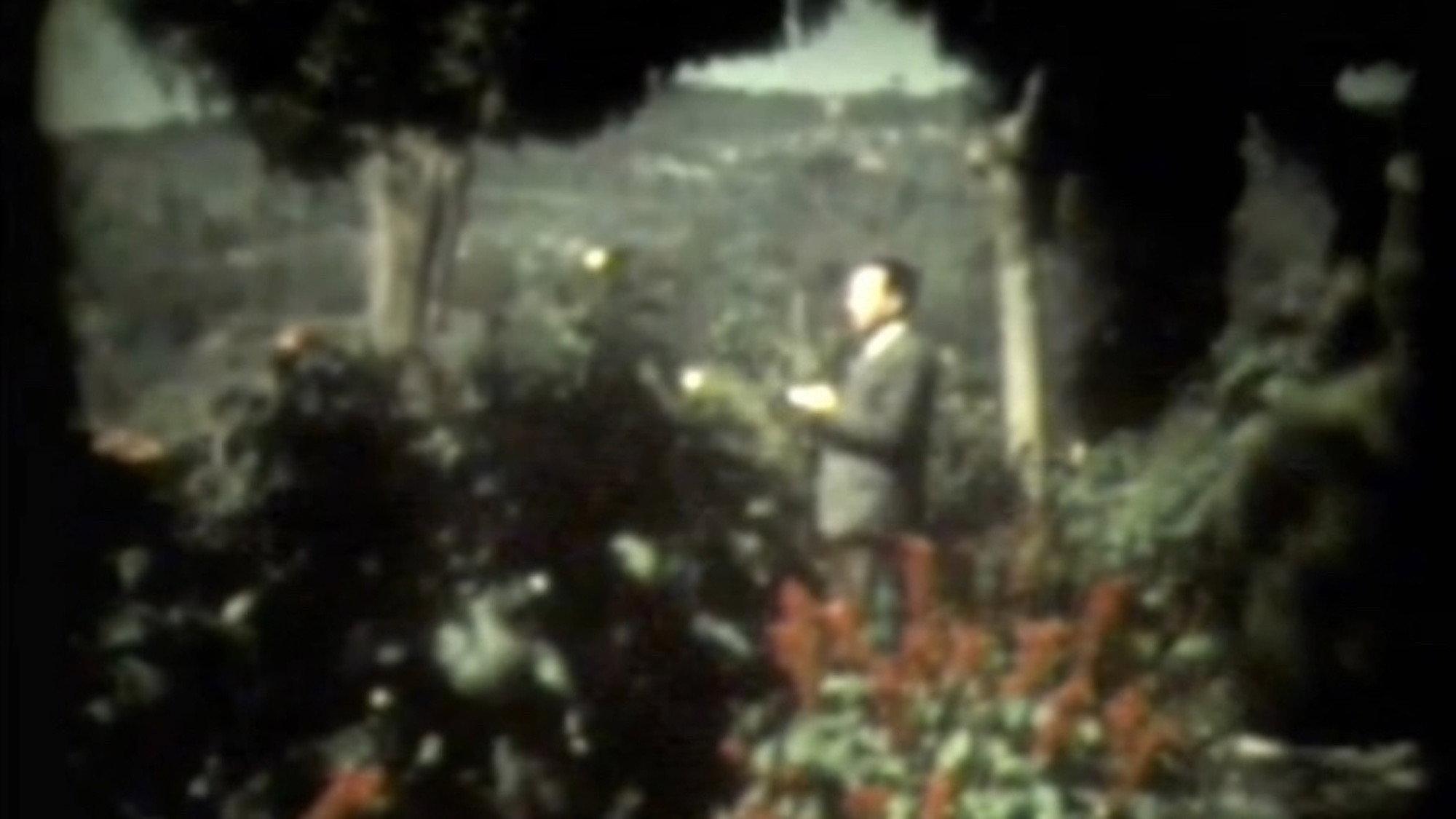 Vecchia Villa Comunale 1953 movie scene