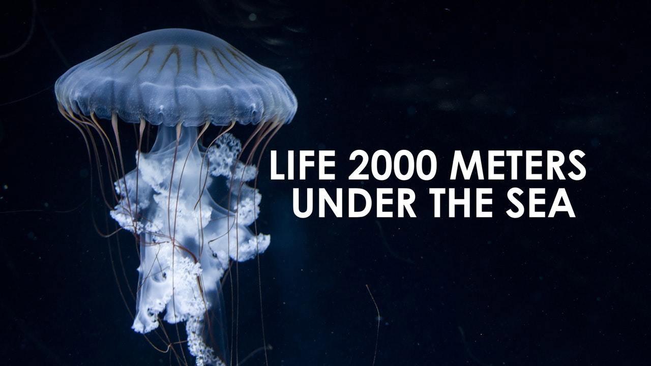 Life 2,000 Meters Under the Sea 2014 movie scene