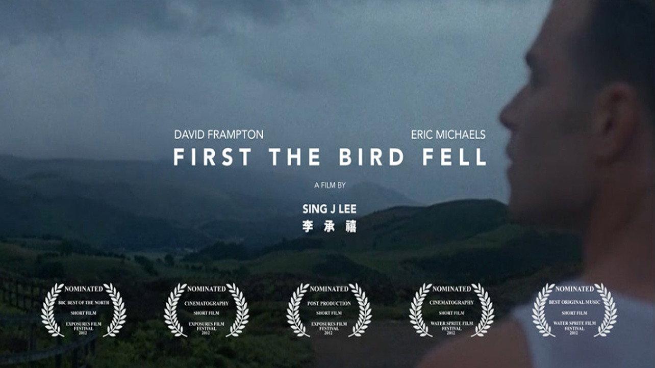 First the Bird Fell 2011 movie scene
