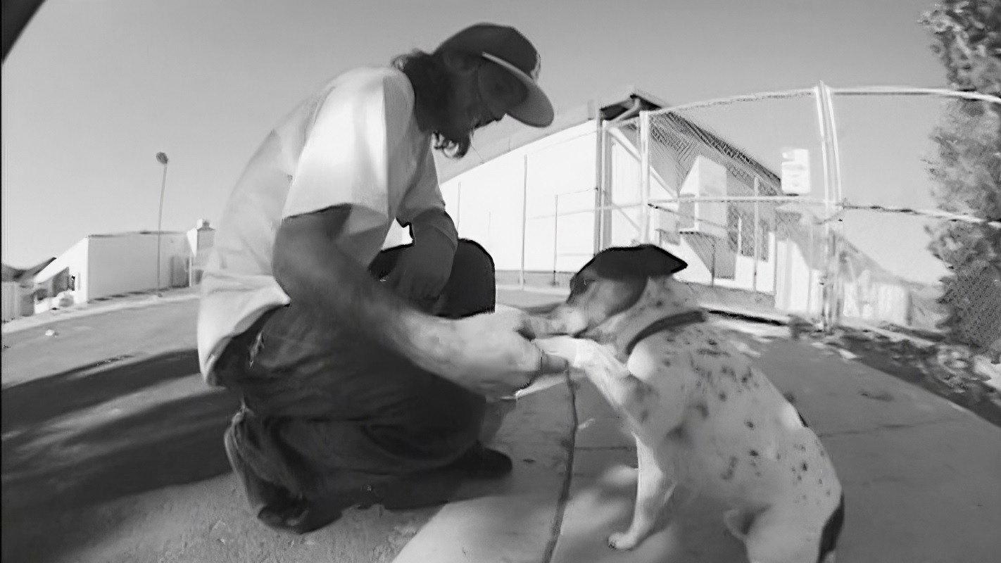 Mystery - Black & White 2007 movie scene