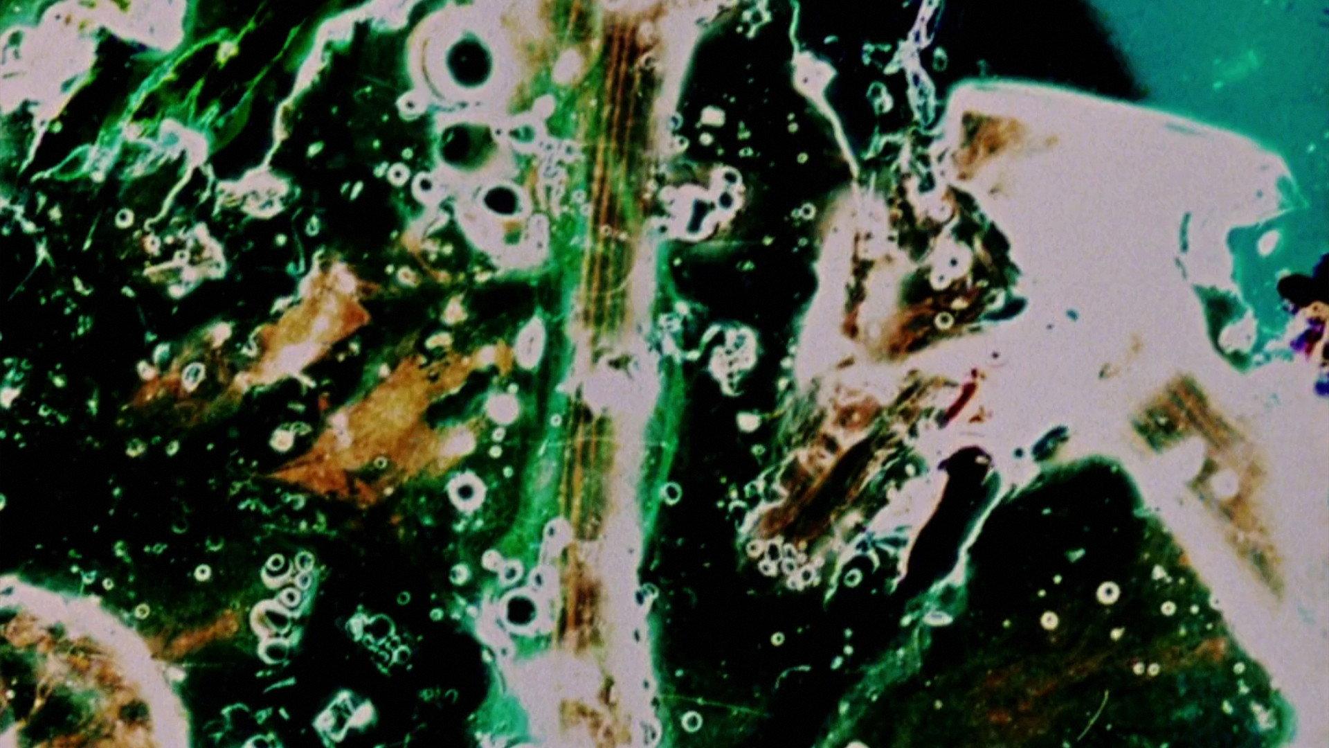 Delicacies of Molten Horror Synapse 1991 movie scene