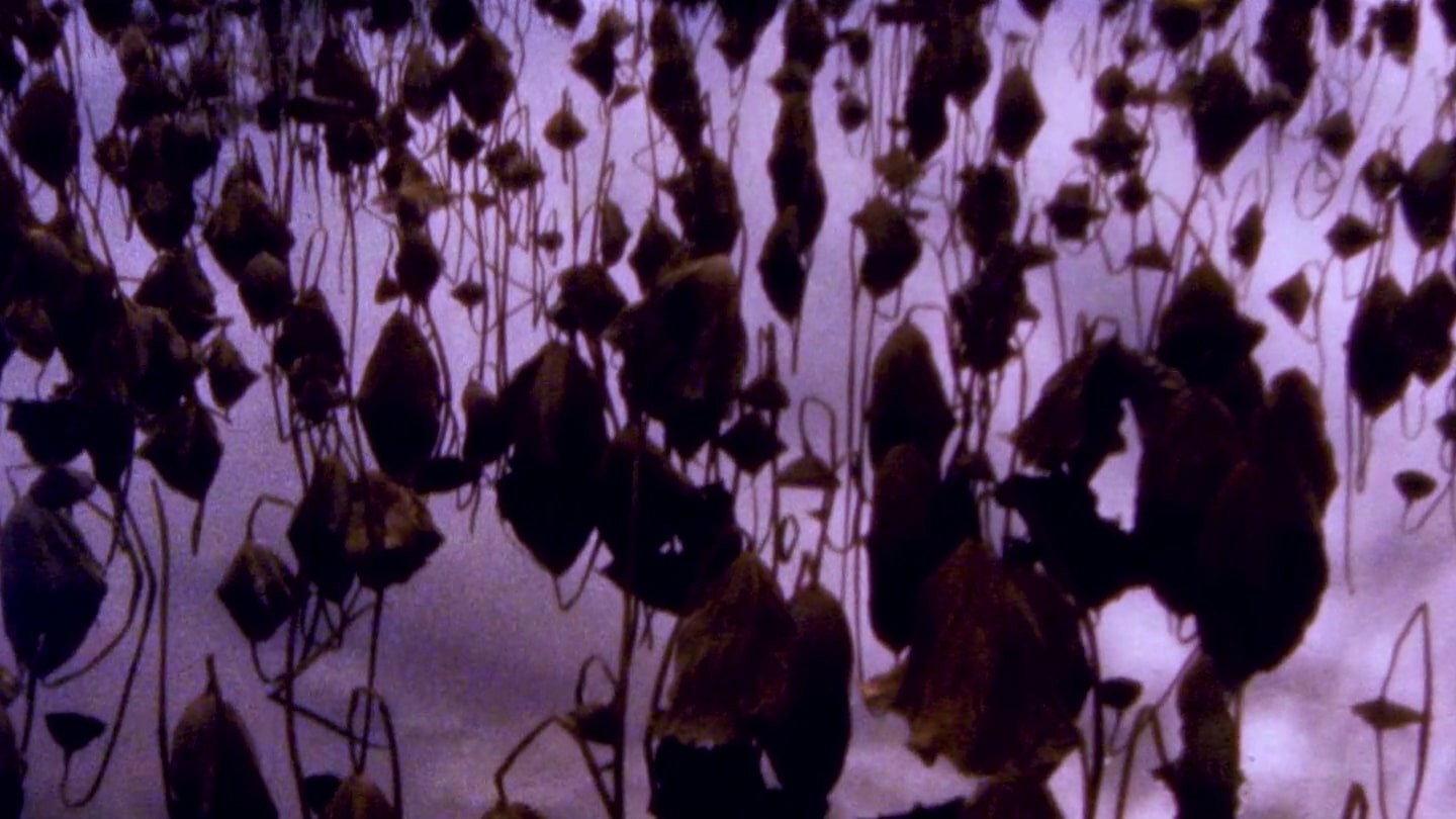 Hiroshima - Nagasaki 2024 movie scene